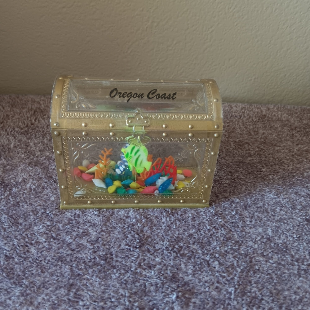 Oregon Coast Gold Treasure Chest with Colorful Stones